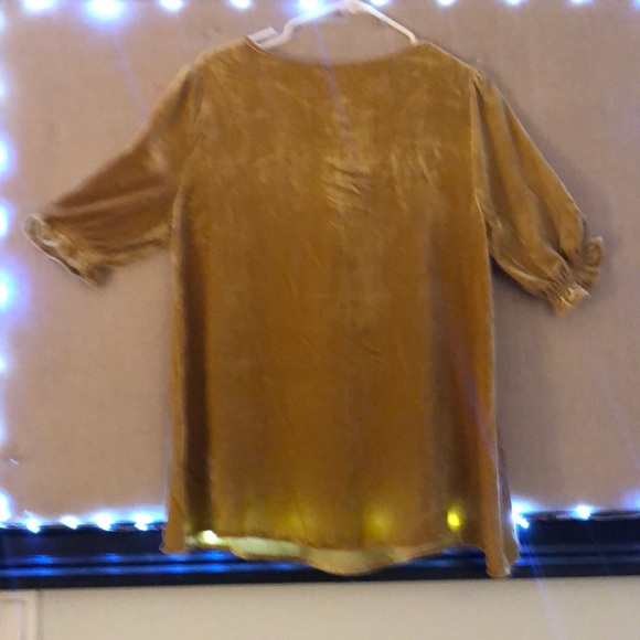 Golden Top - Picture 2 of 3